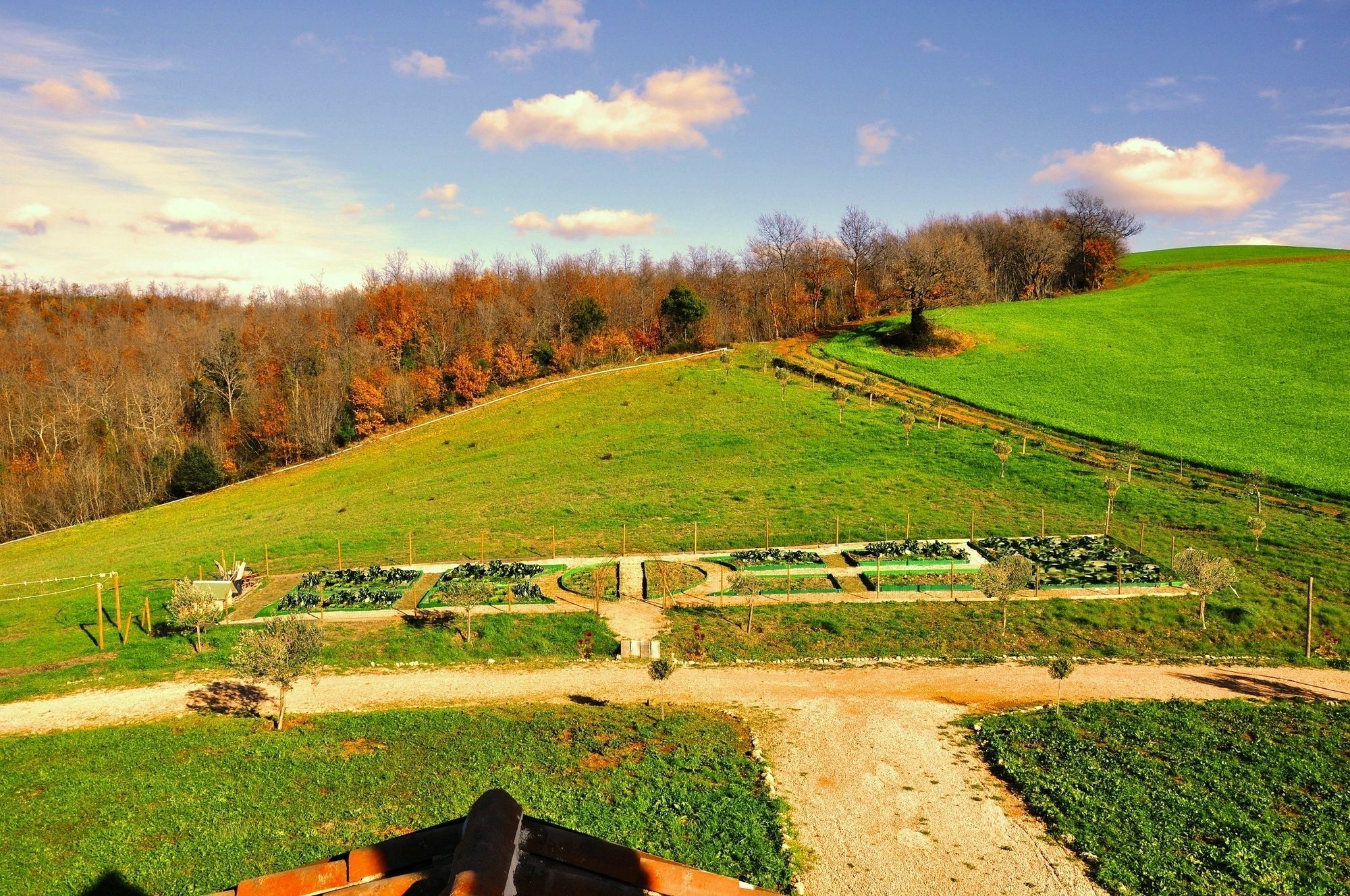 Montecristo Country House Pension Manciano Buitenkant foto