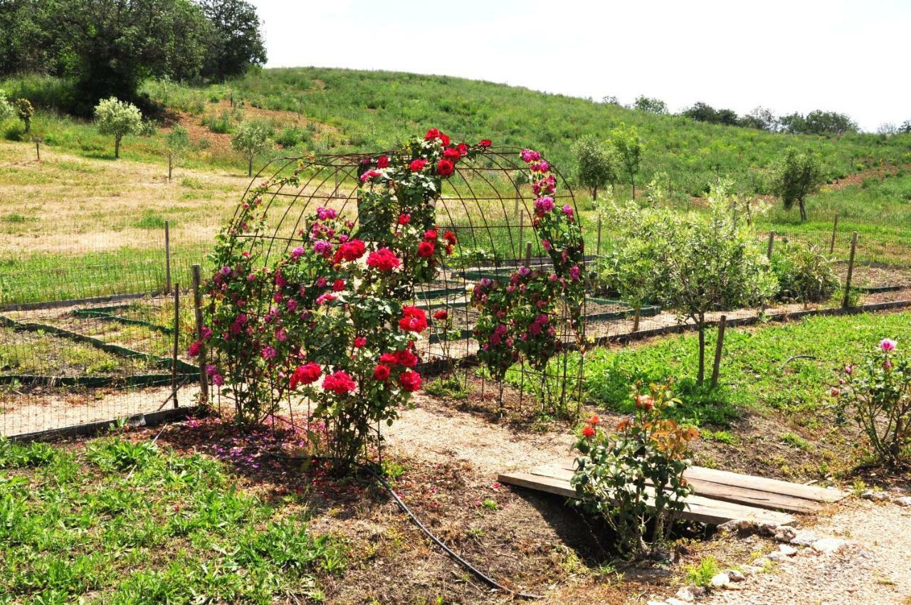 Montecristo Country House Pension Manciano Buitenkant foto